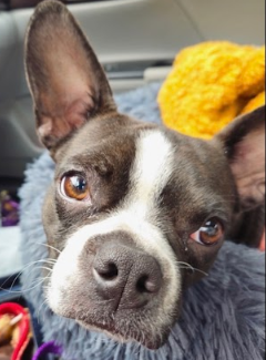 Screenshot 2025-12-27 141704.png