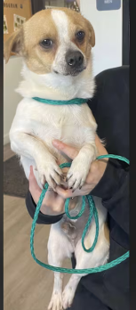 Screenshot 2026-01-03 160209.png