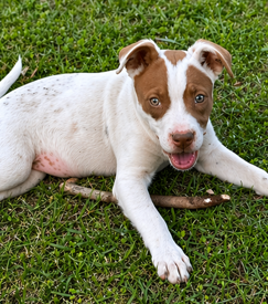 Screenshot 2026-04-23 145650.png