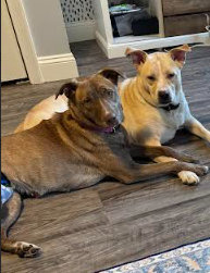 Screenshot 2025-11-17 104816.png