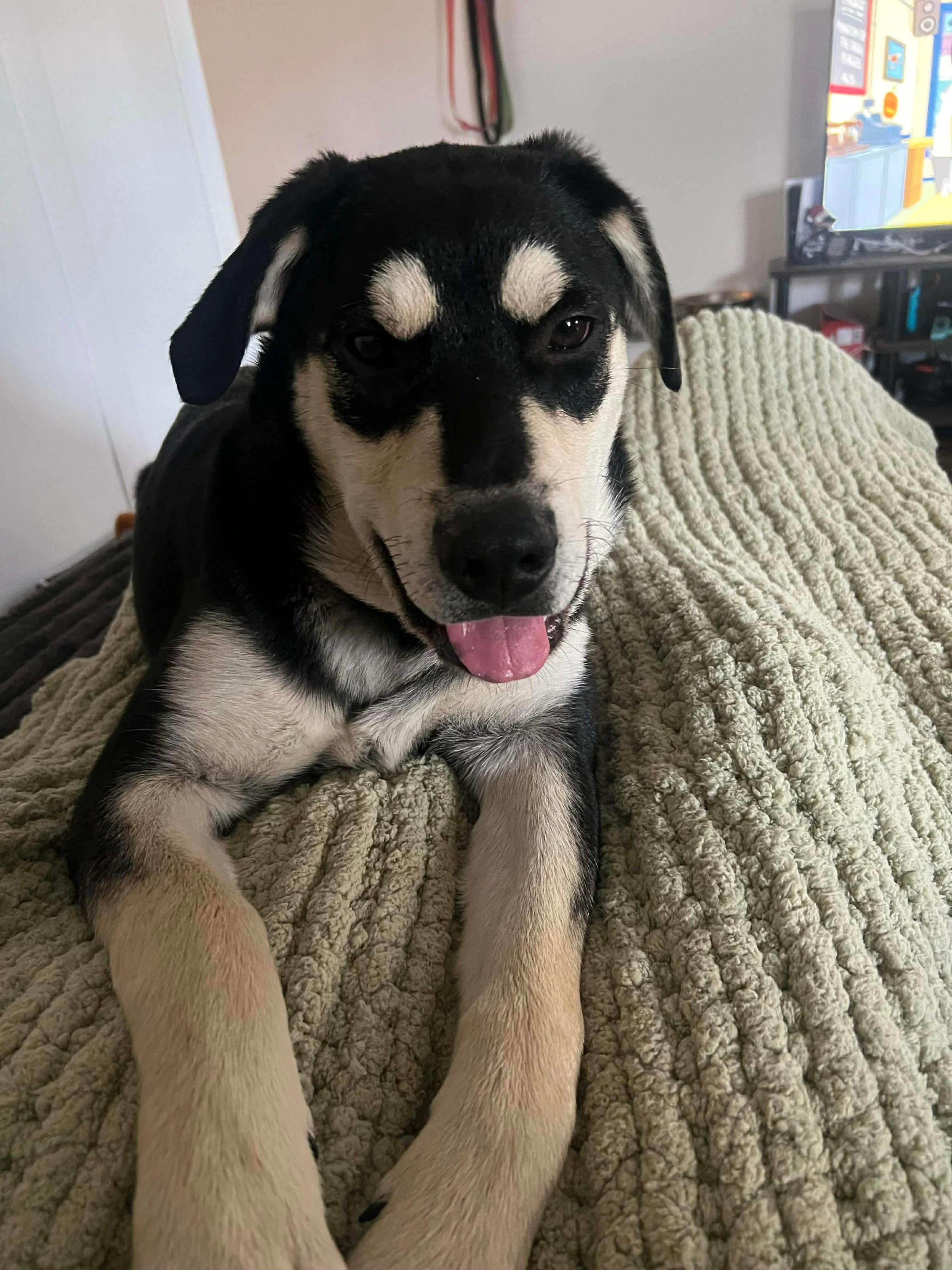 Camden 4 112025.jpeg