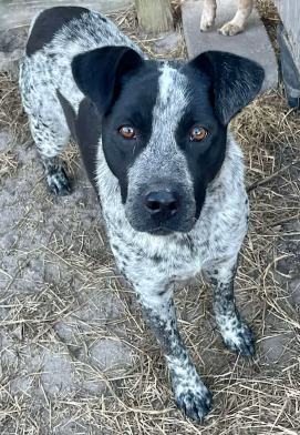 Screenshot 2026-01-03 160646.png