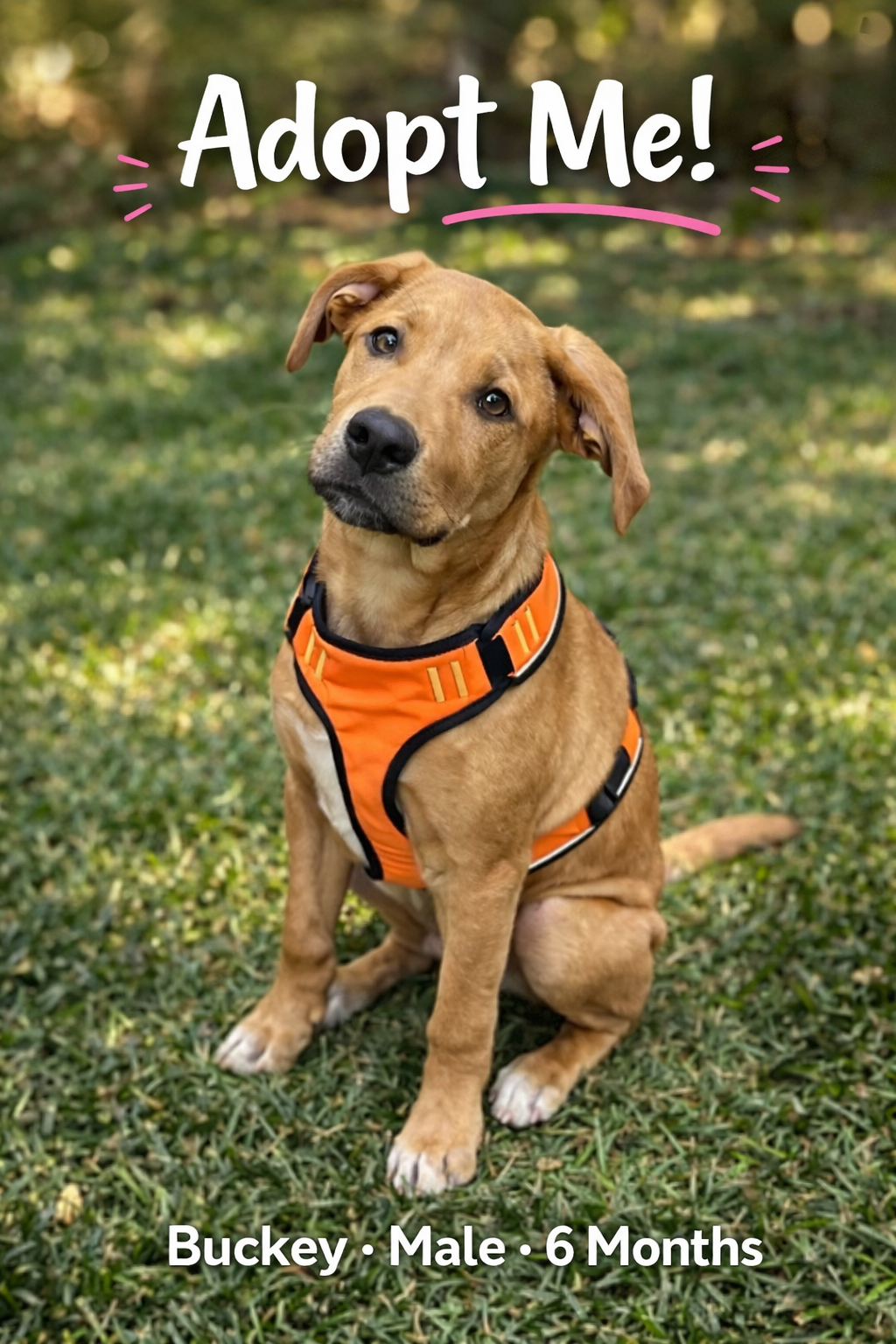 ChatGPT Image Apr 18, 2026, 08_38_17 AM.png