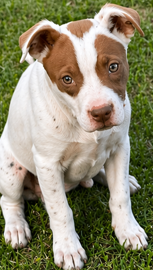 Screenshot 2026-04-23 145645.png