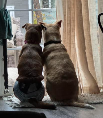 Screenshot 2025-11-17 104804.png