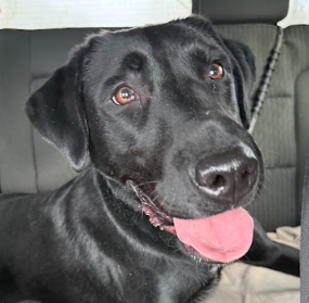 Screenshot 2025-12-30 131348.png