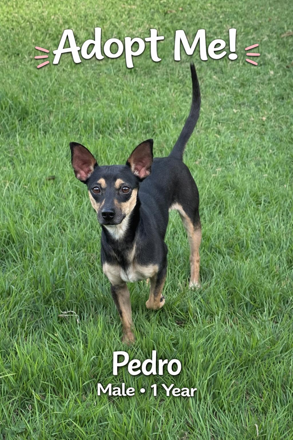 ChatGPT Image Apr 23, 2026, 03_29_27 PM.png