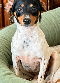 Screenshot 2026-04-23 145555.png