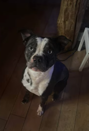 Screenshot 2026-01-03 153044.png