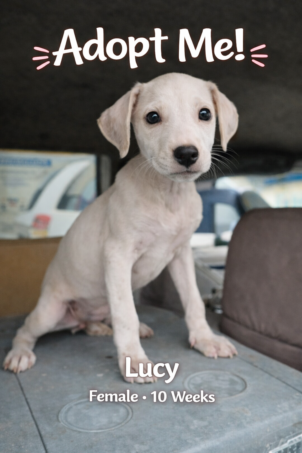 ChatGPT Image Apr 23, 2026, 03_14_08 PM.png