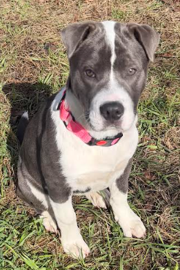 Screenshot 2026-04-20 143402.png