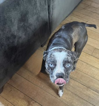 Screenshot 2026-01-03 153036.png