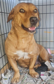 Screenshot 2026-01-15 085049.png