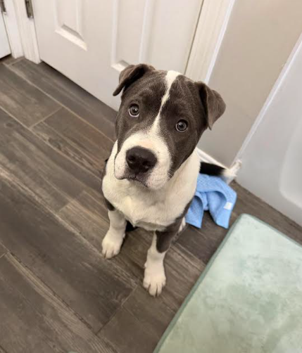 Screenshot 2026-04-20 143045.png