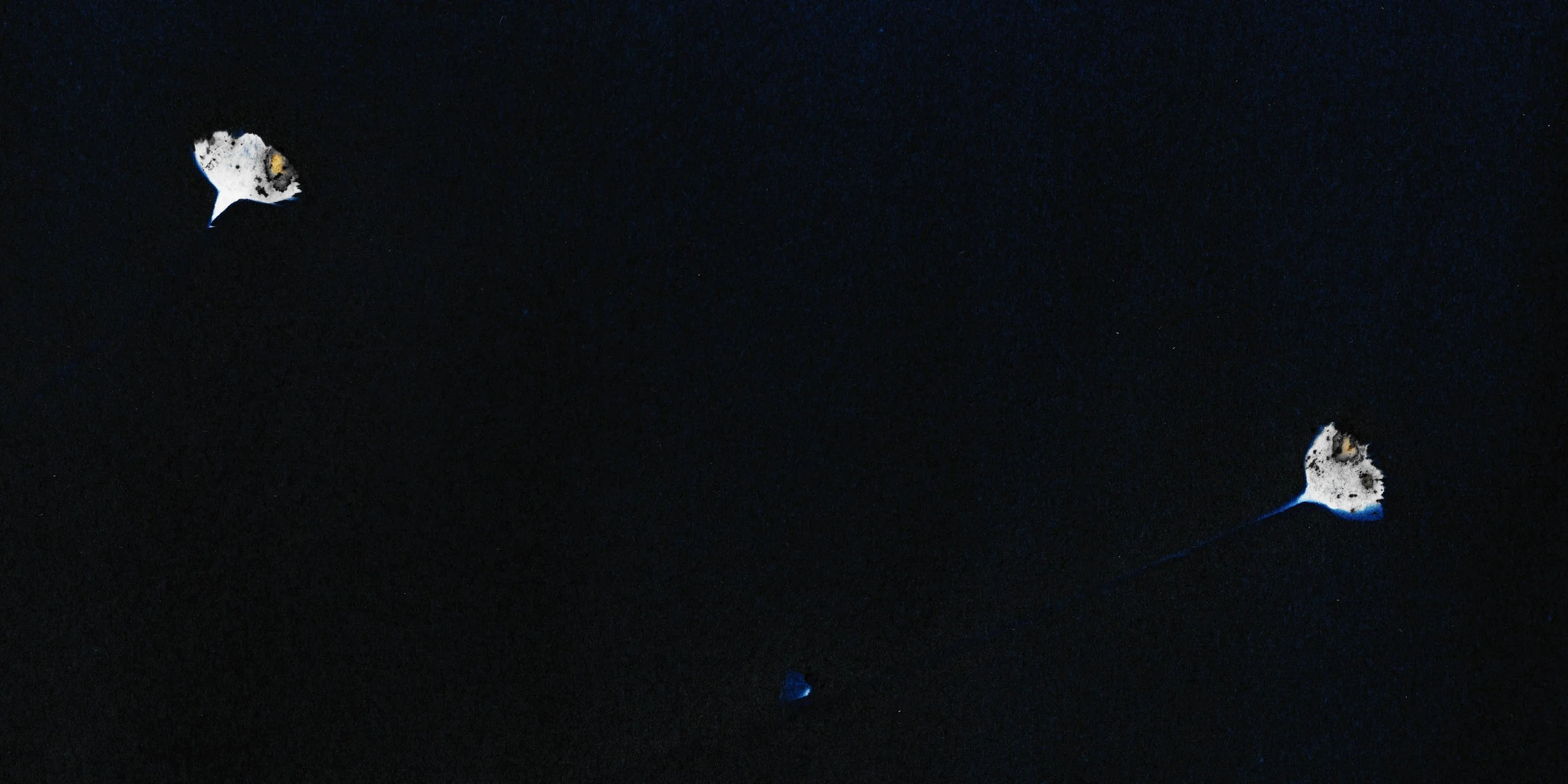 full image 11.jpg