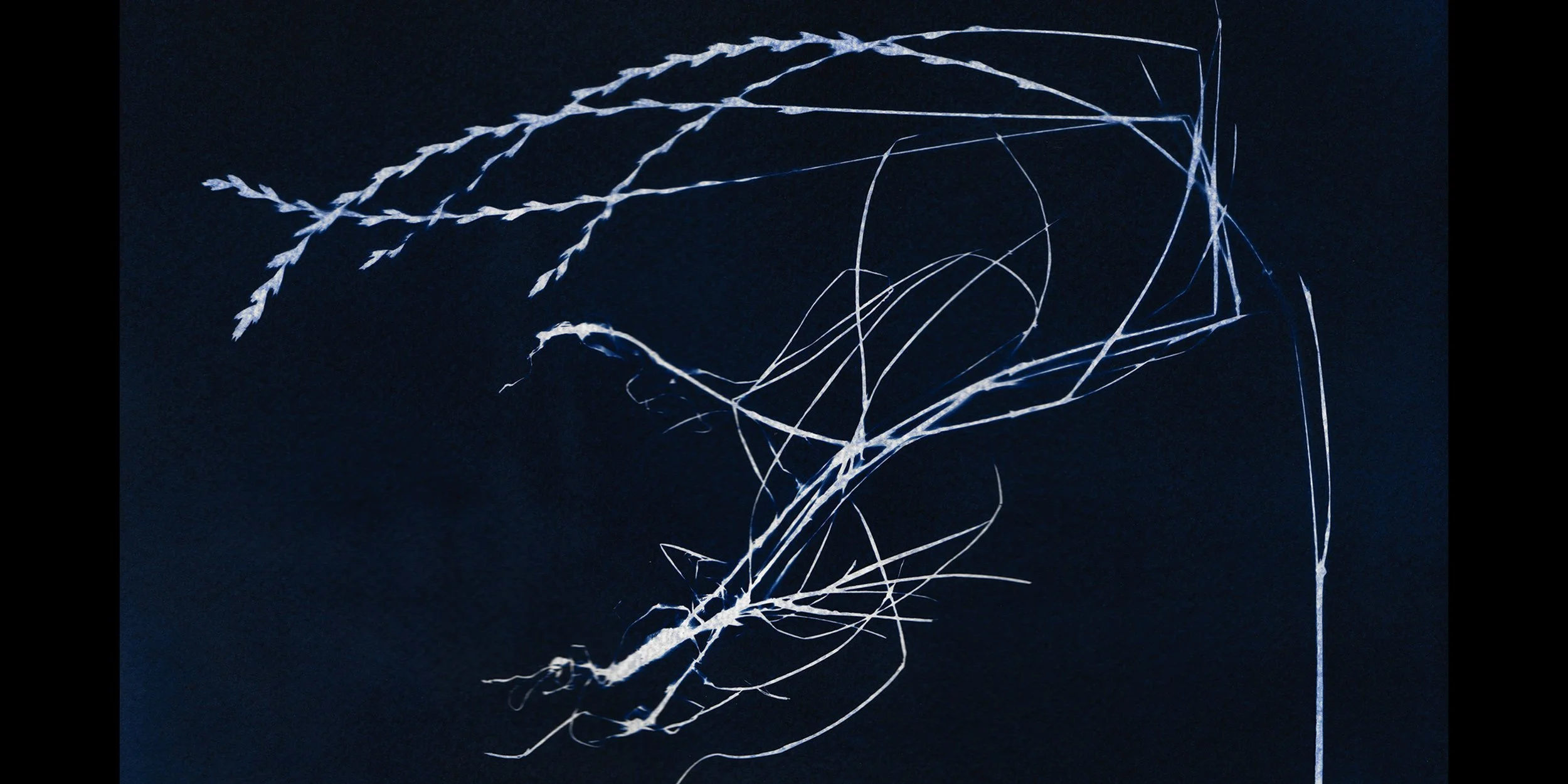 full image2.jpg