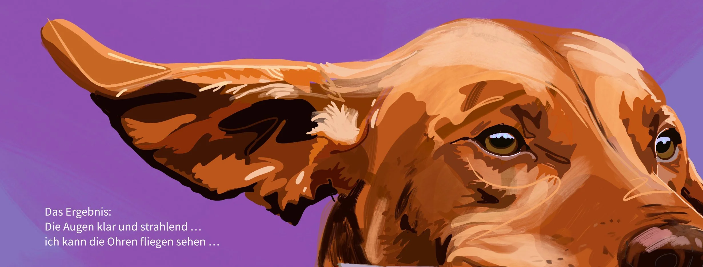 facebook_dogportrait_2.jpg