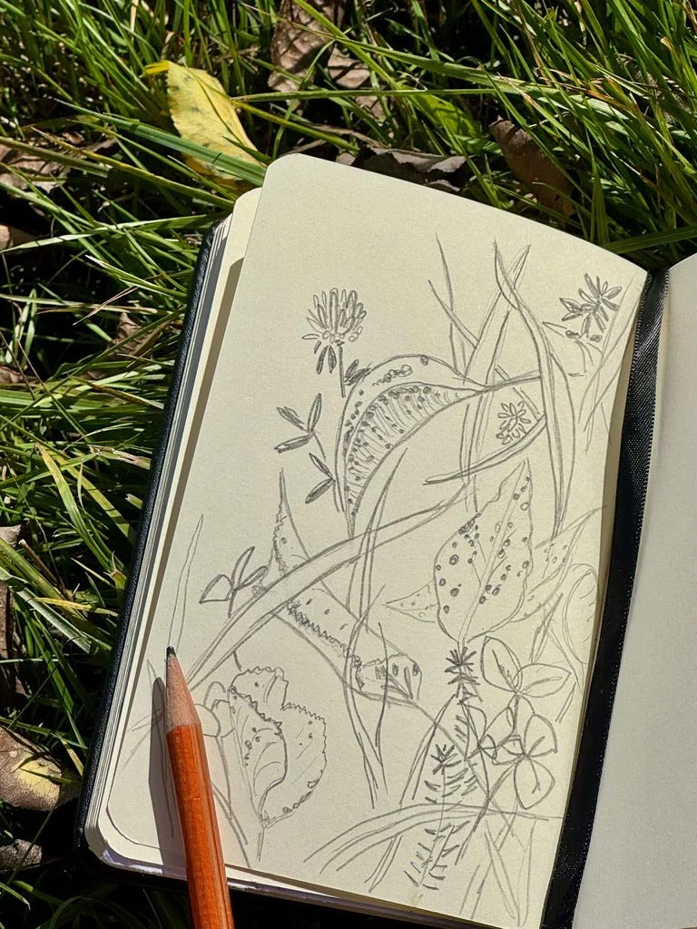 Skizze einer natürlichen Szene mit Blumen, Blättern und Gräsern in einem Skizzenbuch auf Gras im Freien.