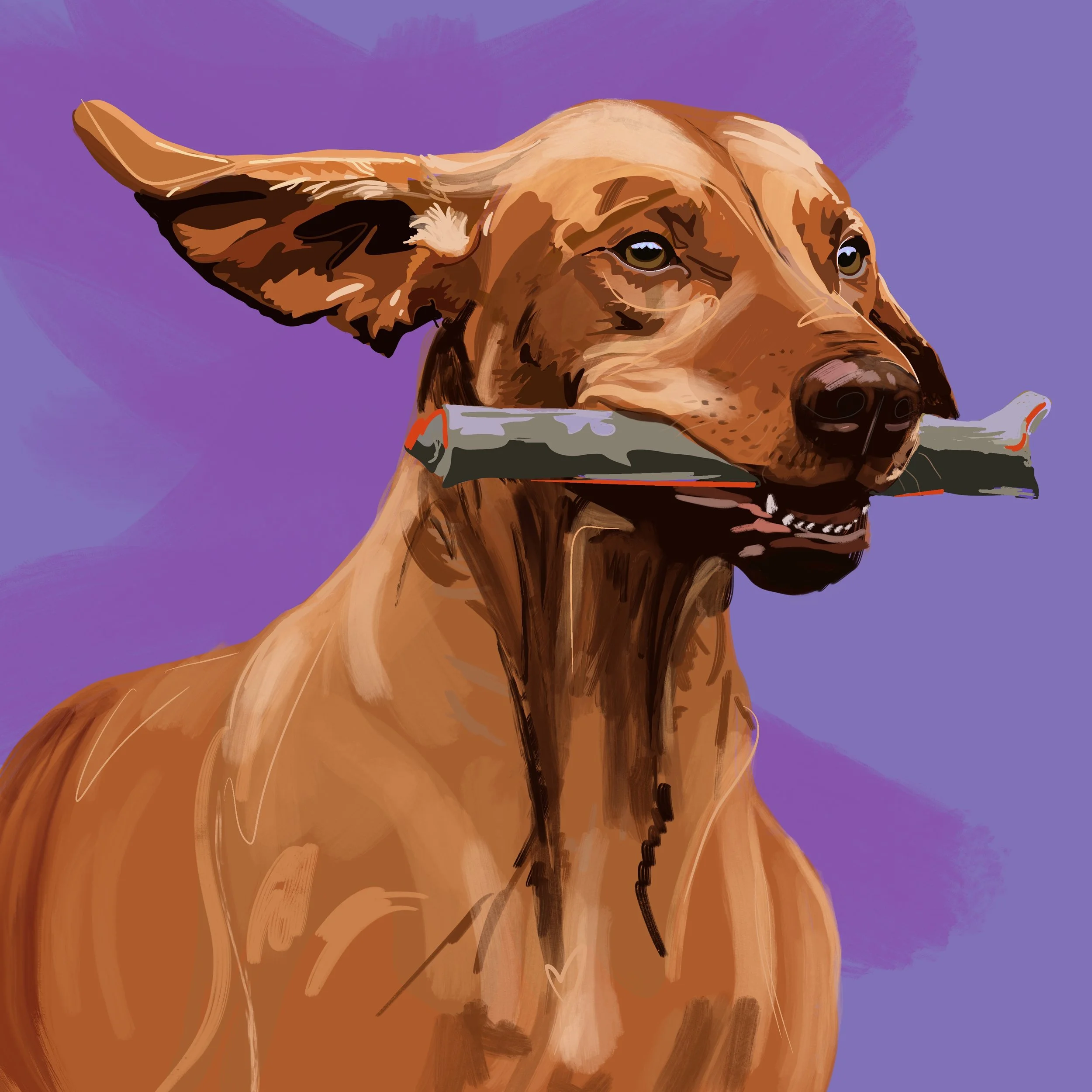 Dogportrait_B.jpg