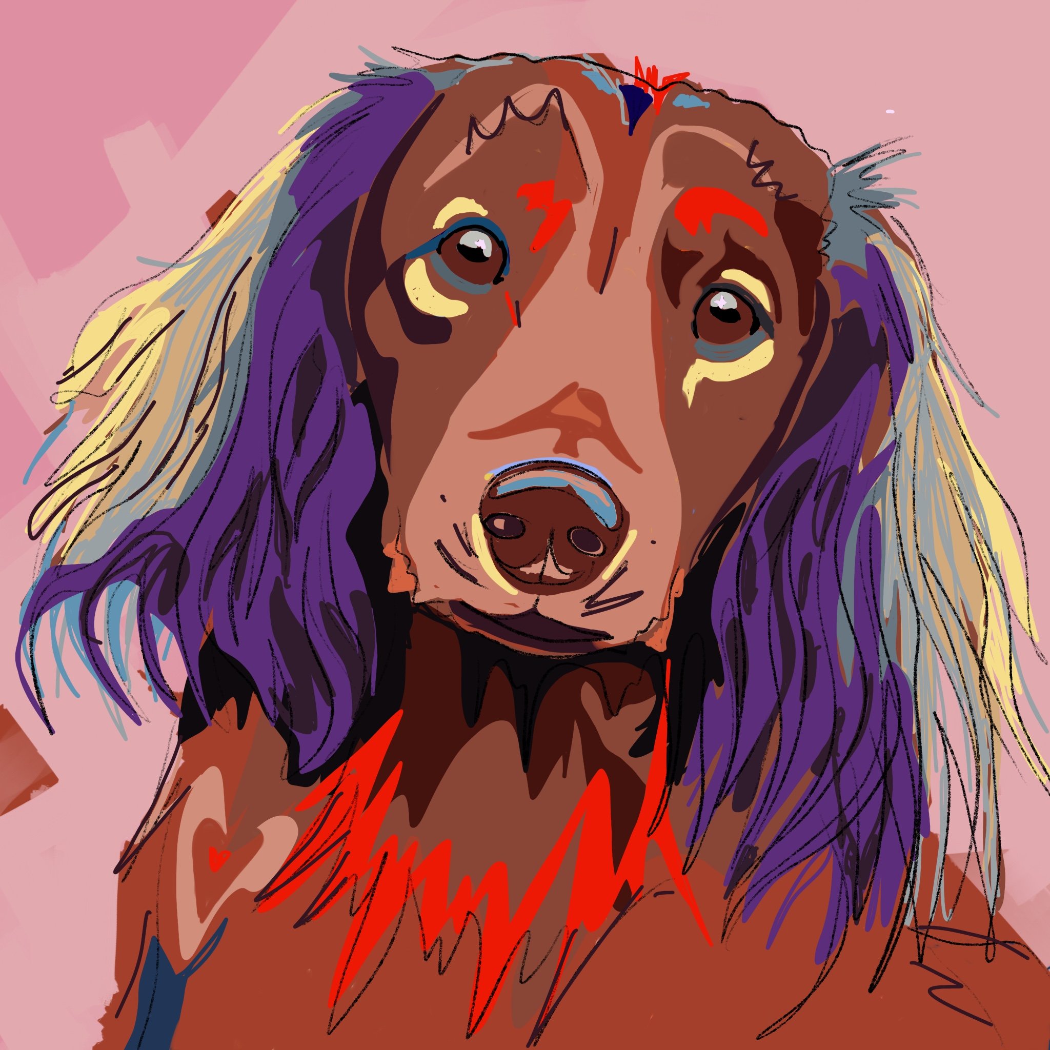 Dogportrait_D.jpg