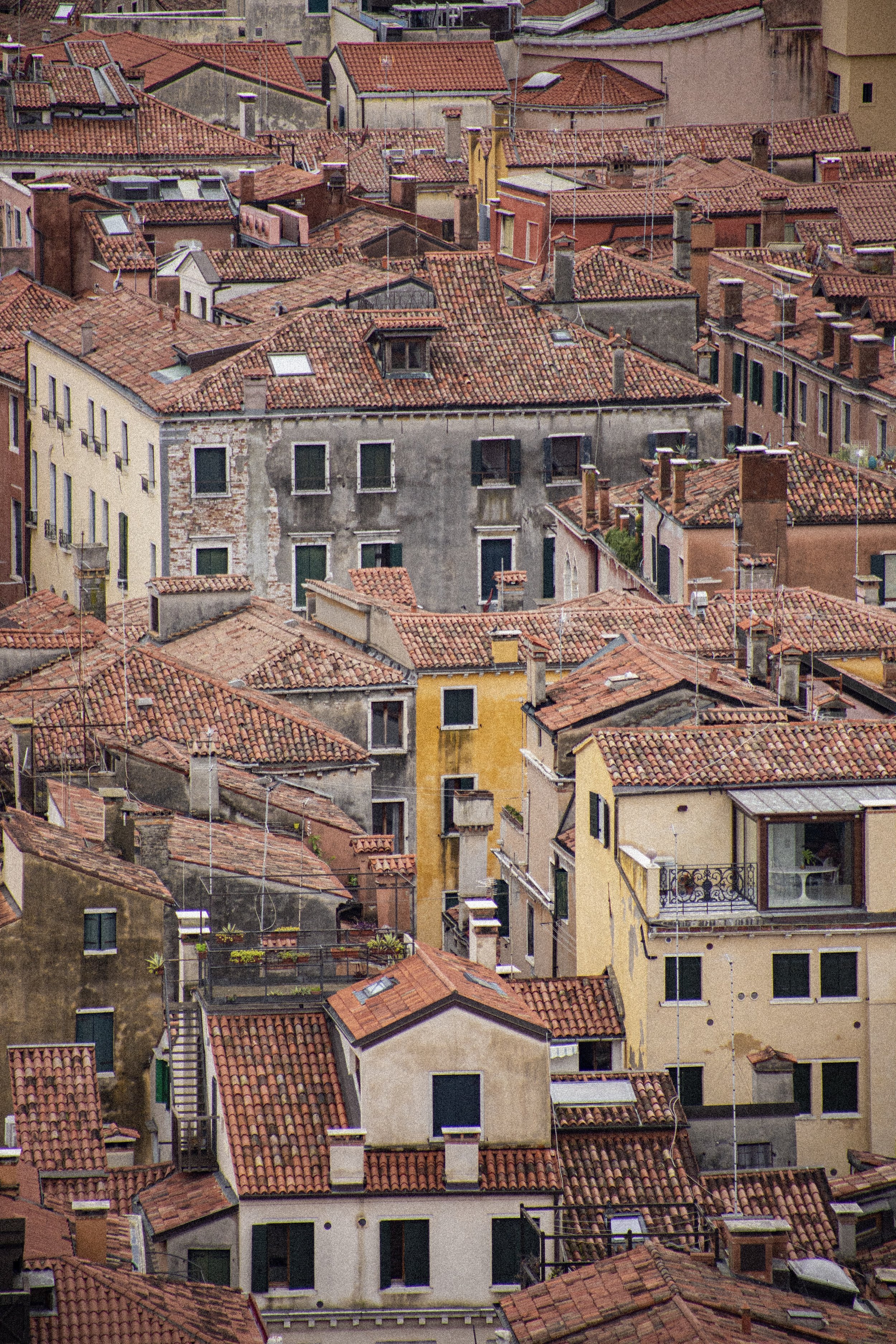 venice, 2024