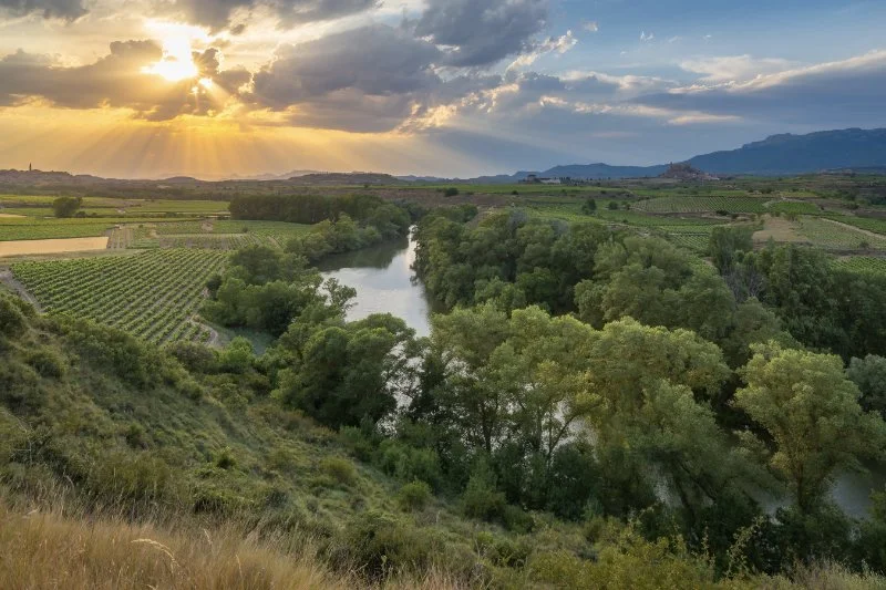 Roqueta Origin - Catalonia