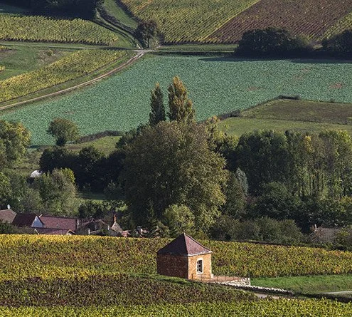 Domaine Guillot-Broux