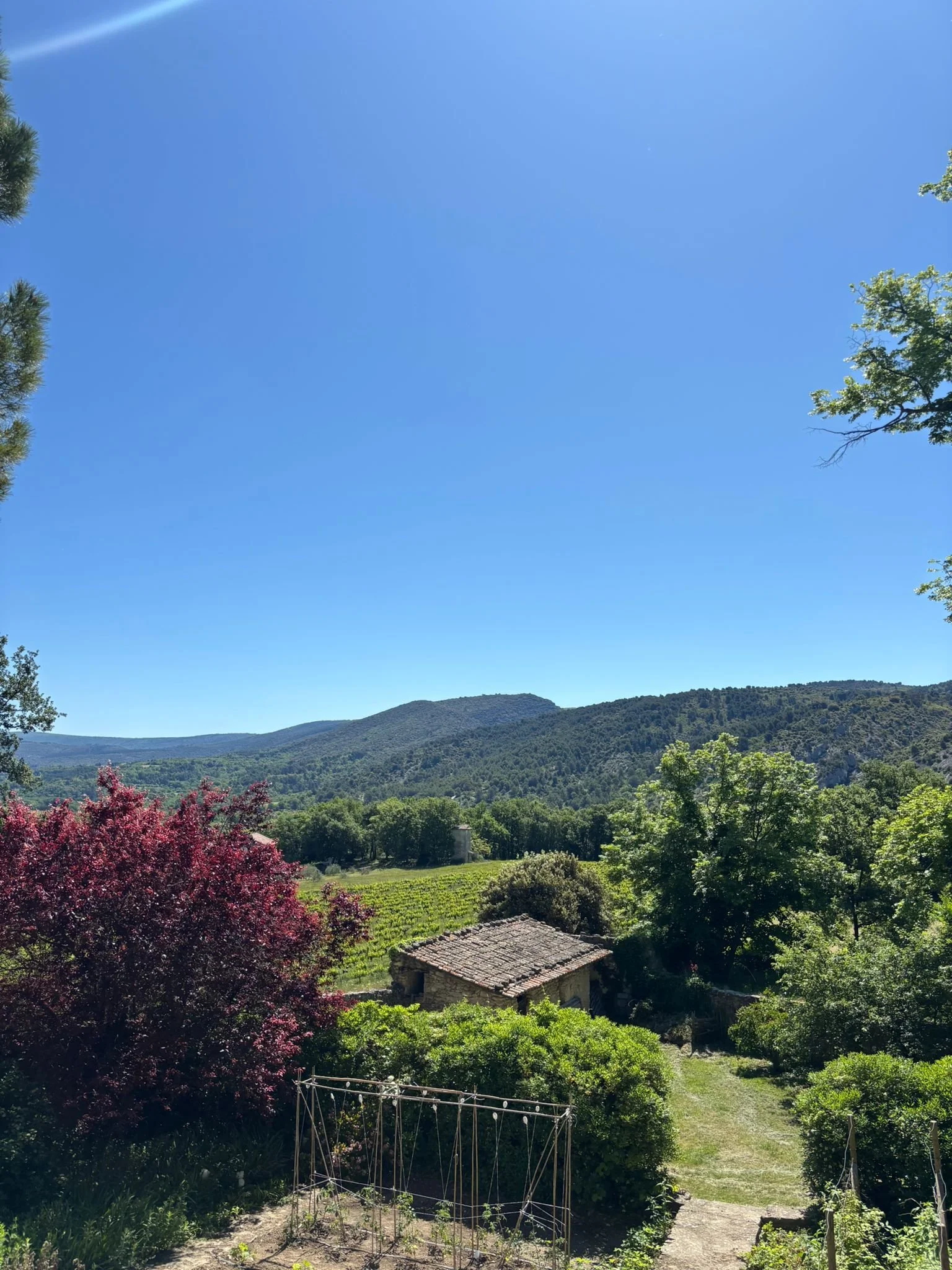 Chateau Unang - Ventoux