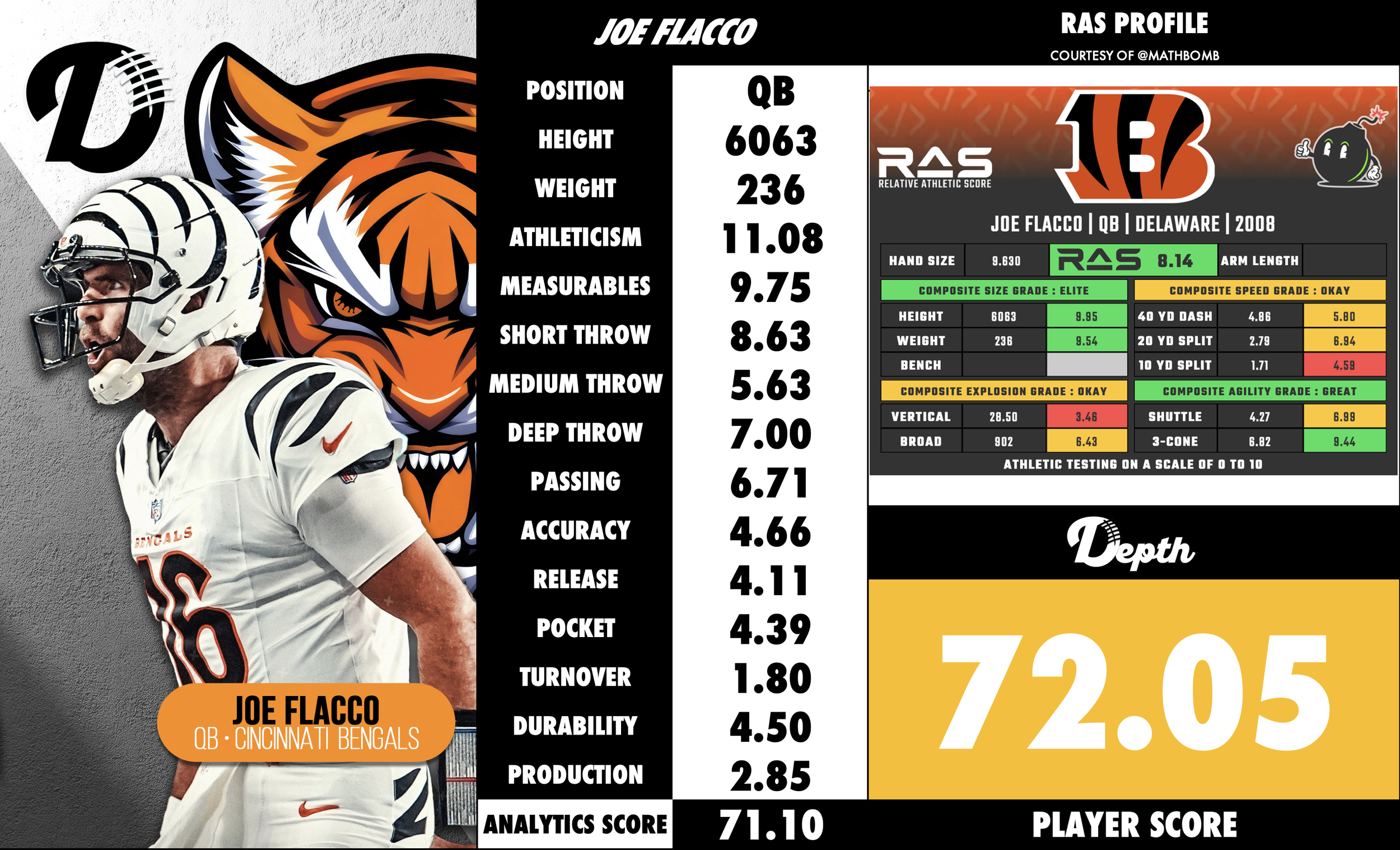 Joe Flacco Player Profile