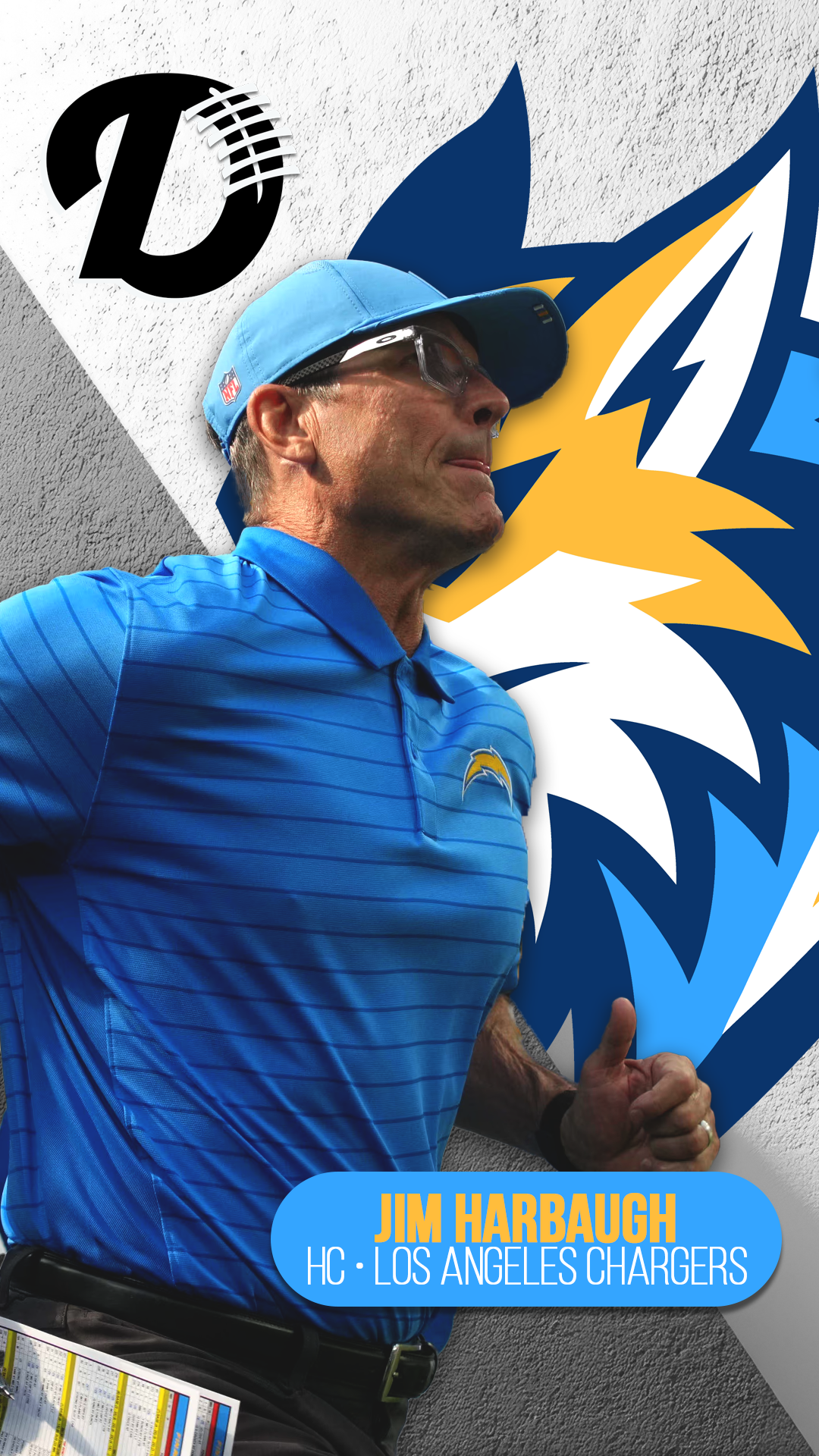 Jim Harbaugh Coach Profile