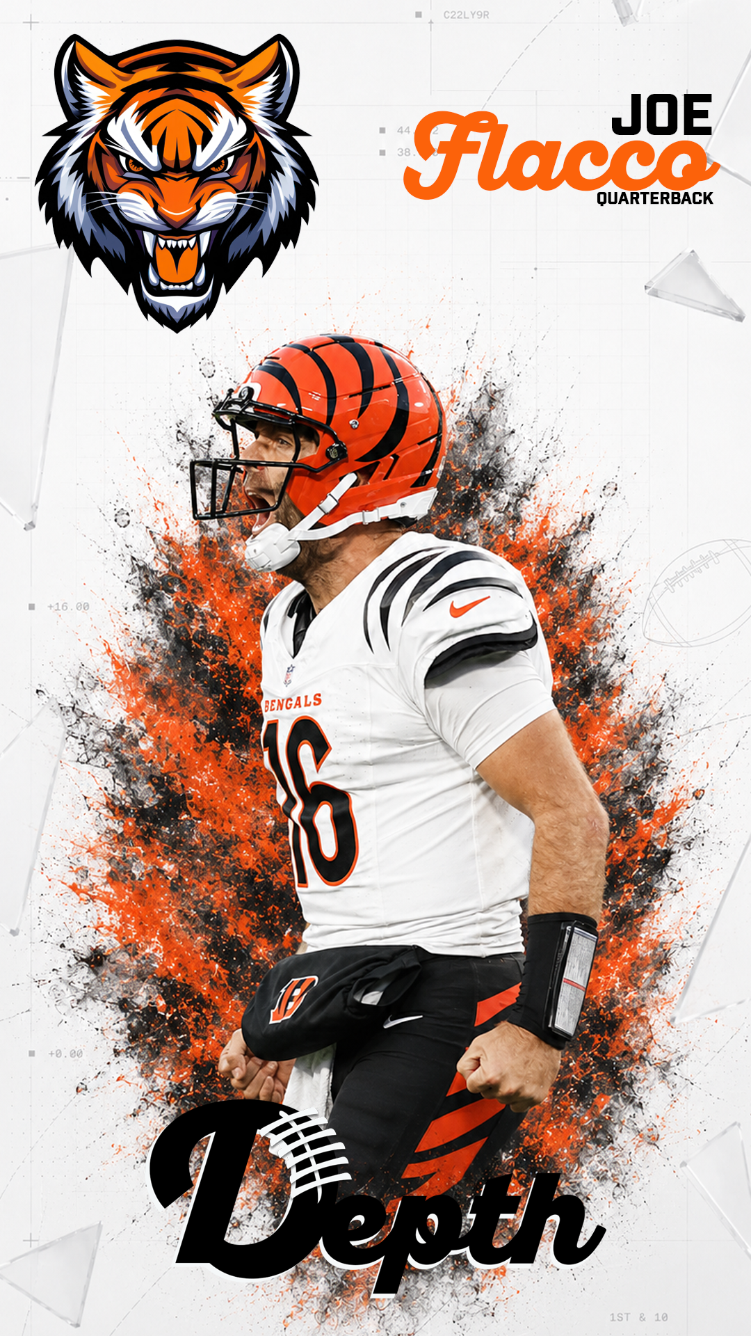 Joe Flacco Player Profile