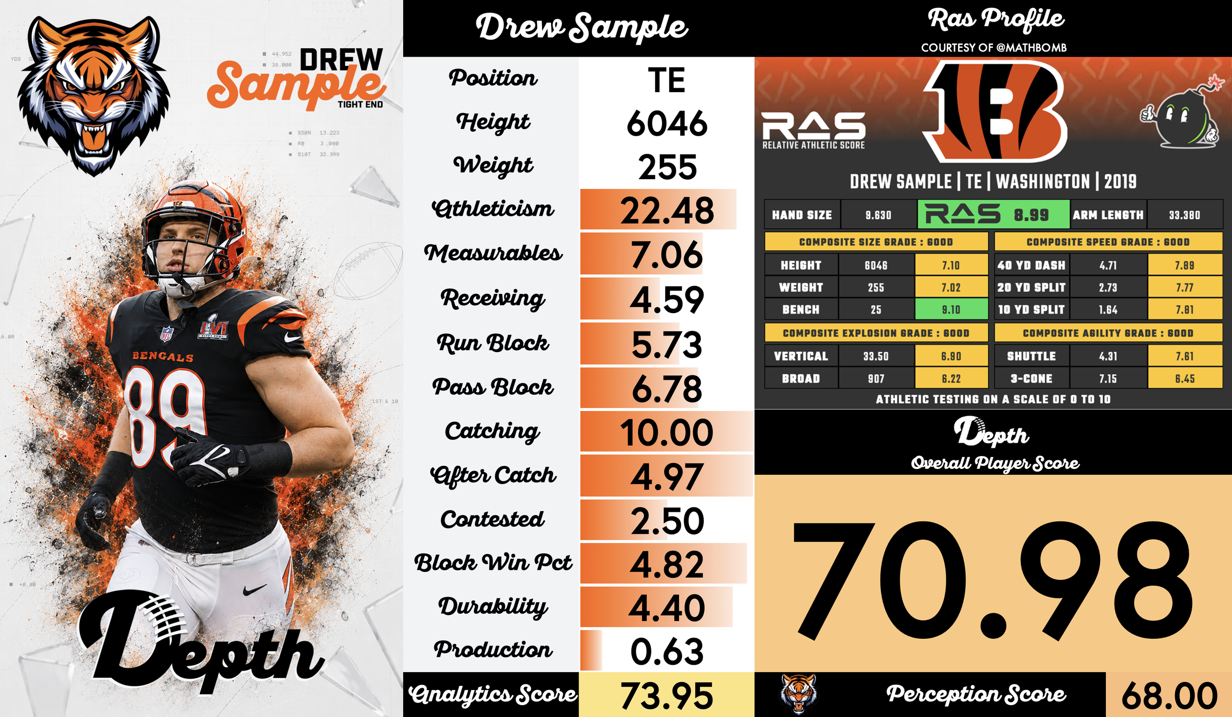Drew Sample Player Profile