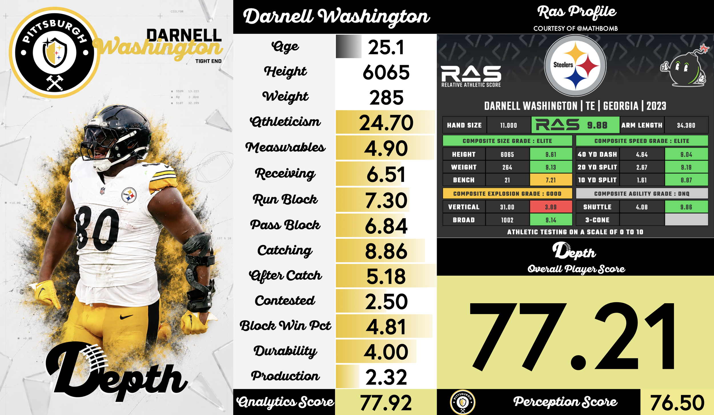 Darnell Washington Player Profile