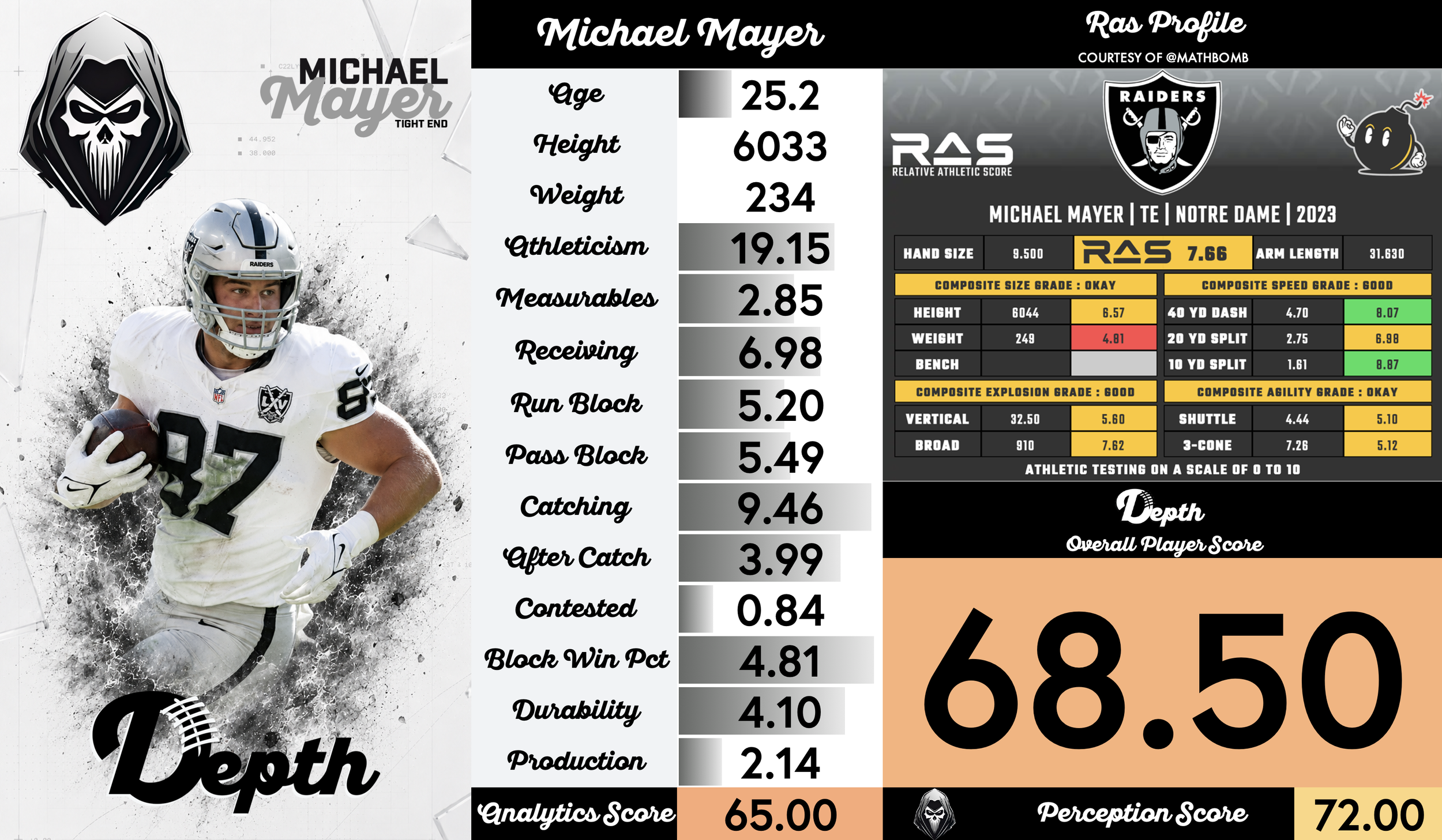 Michael Mayer Player Profile