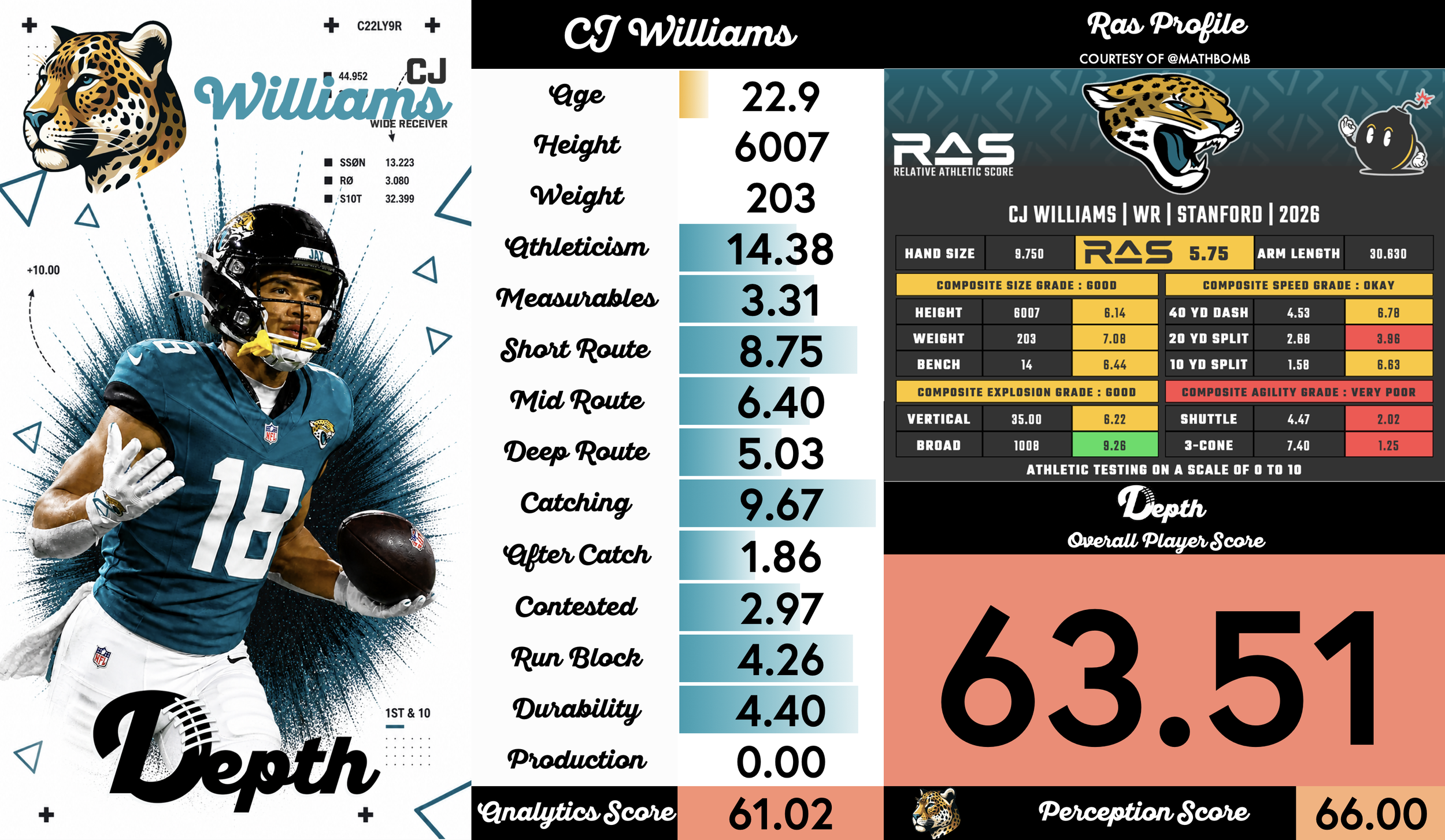 CJ Williams Player Profile