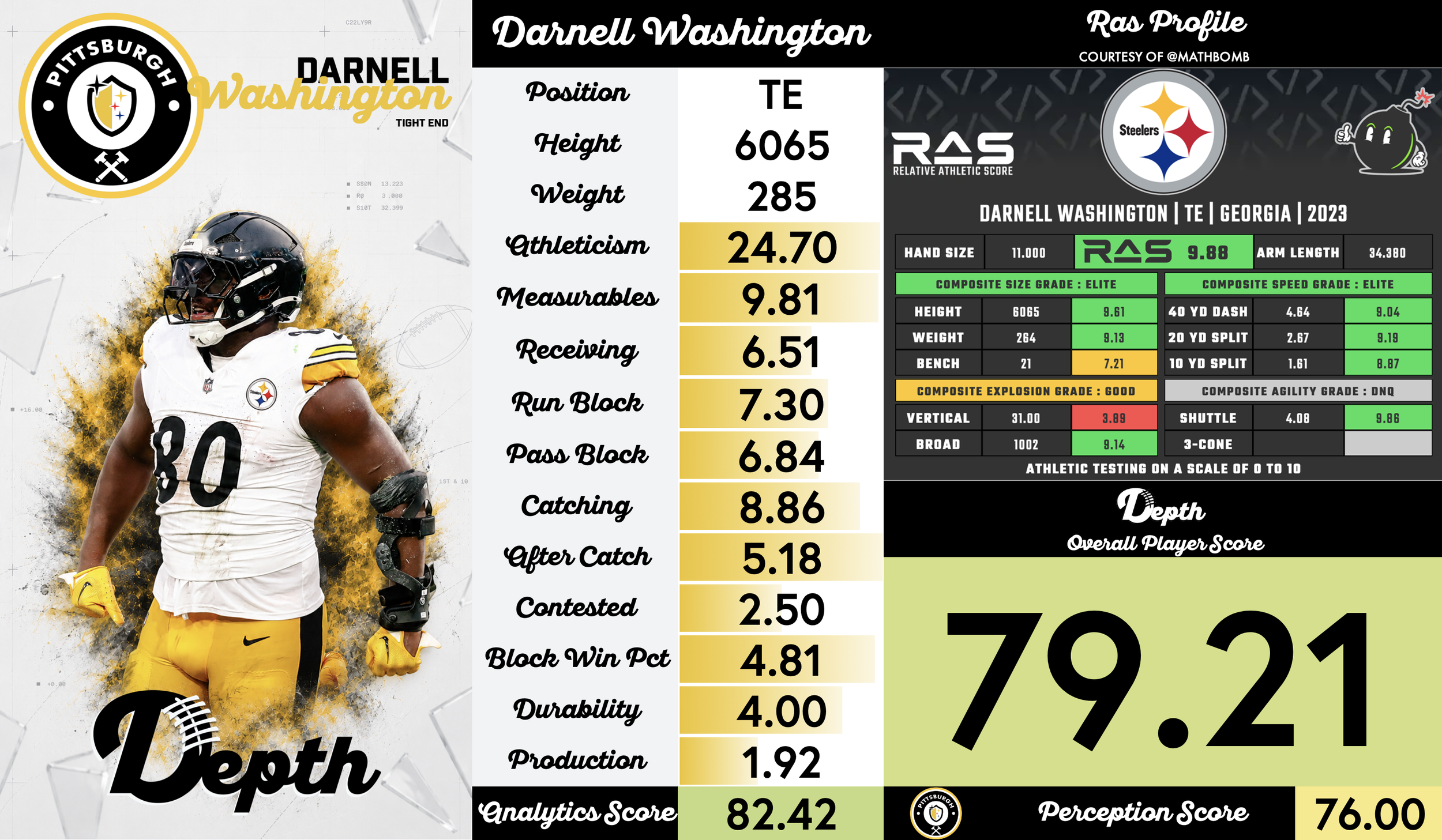 Darnell Washington Player Profile