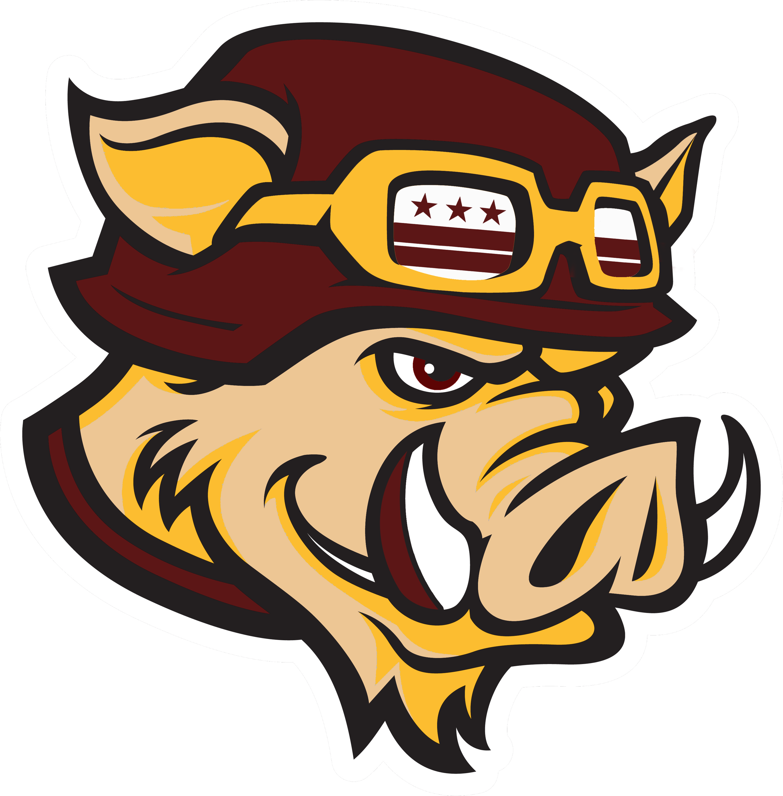 Washington Commanders Alternate Logo