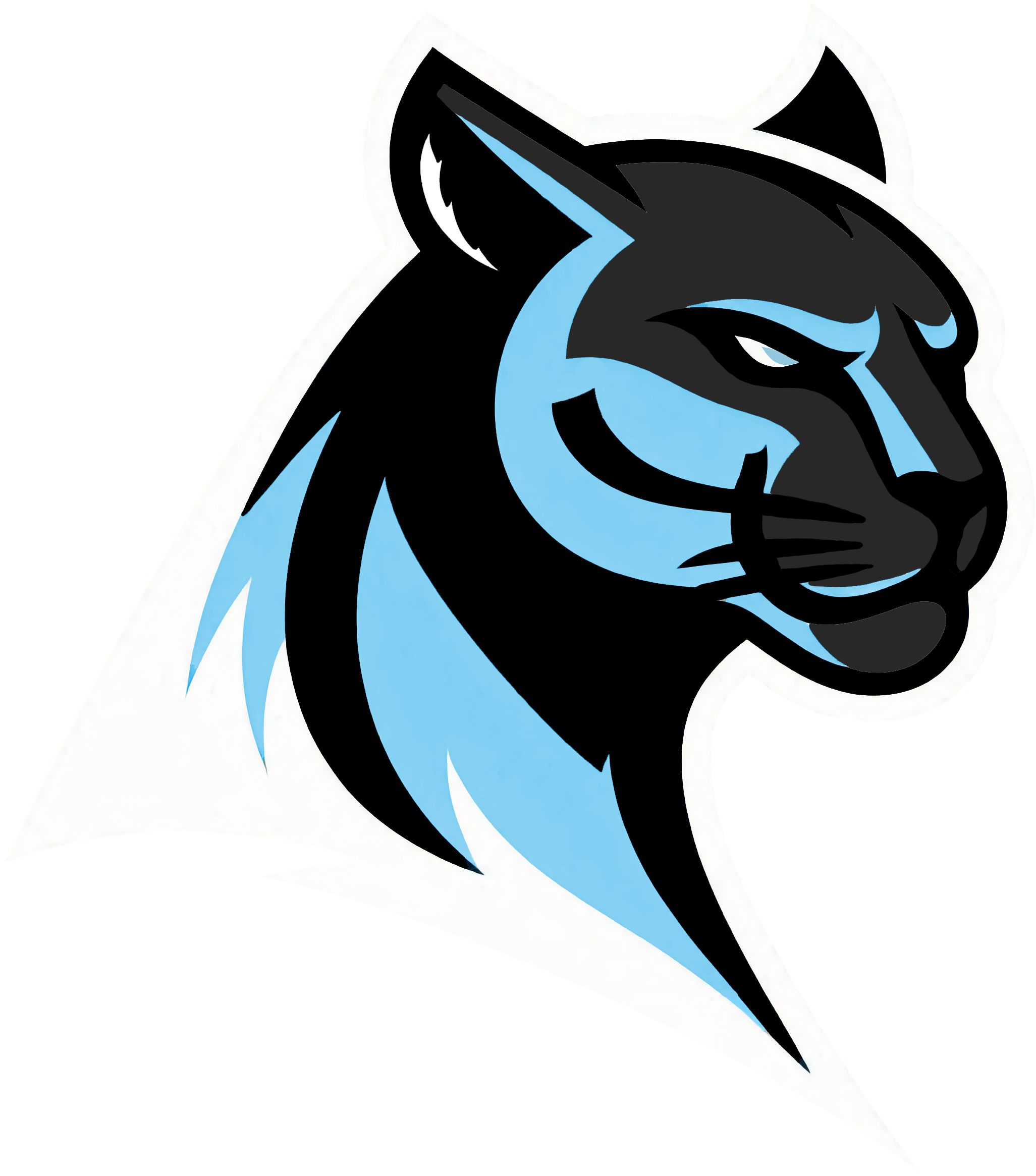 Carolina Panthers Alternate Logo
