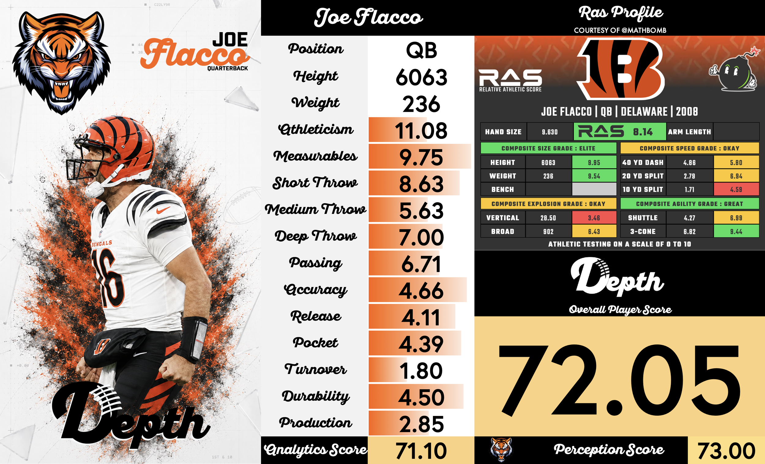 Joe Flacco Player Profile