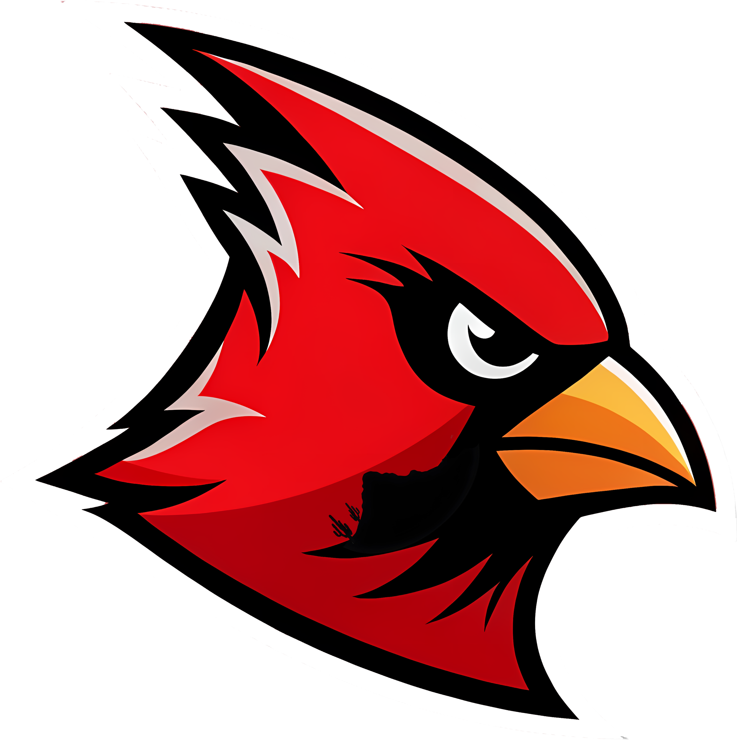 Arizona Cardinals Alternate Logo