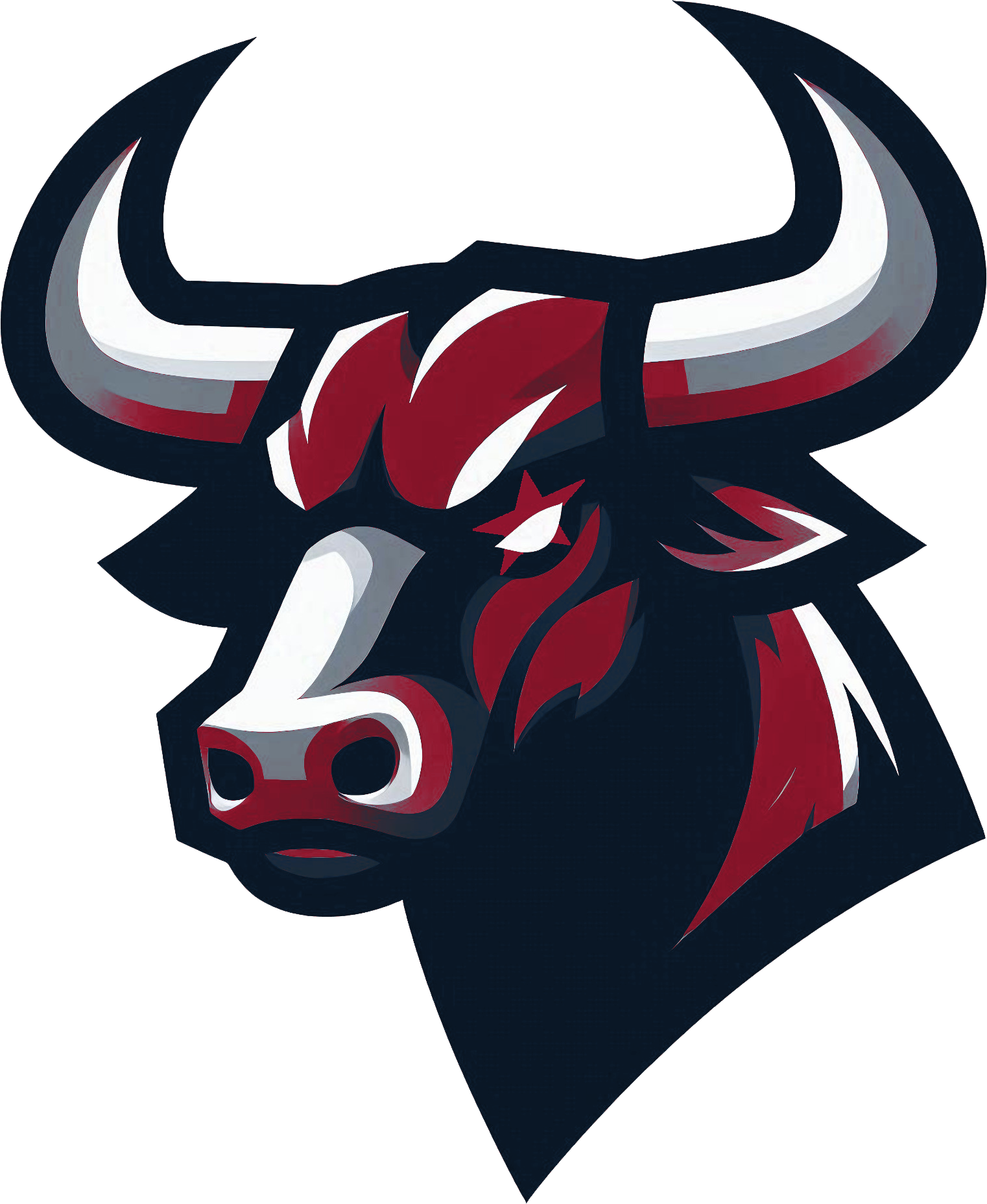 Houston Texans Alternate Logo