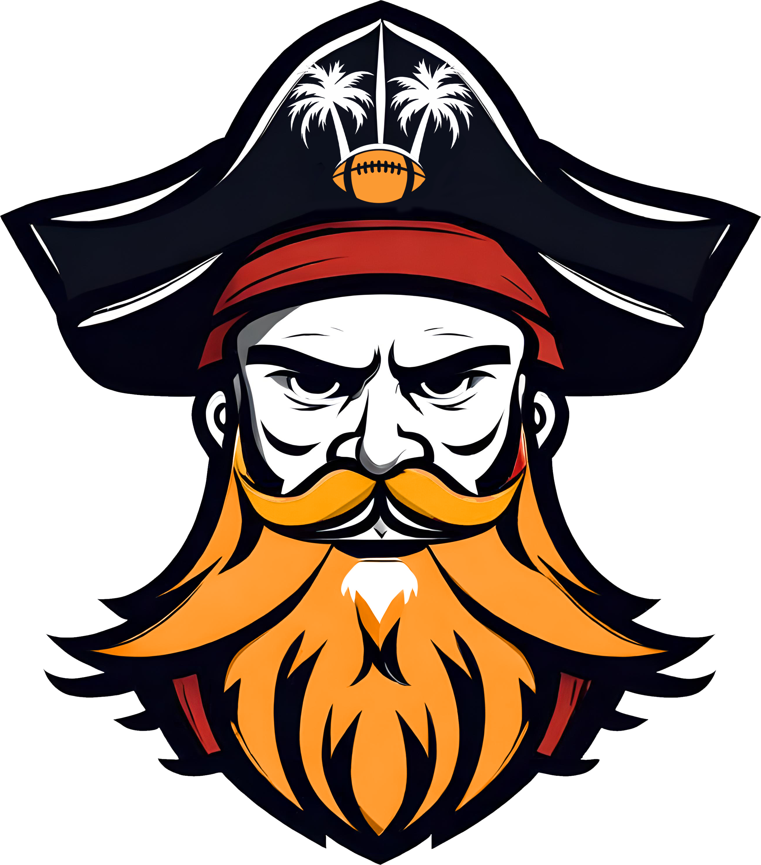 Tampa Bay Buc Alternate Logo