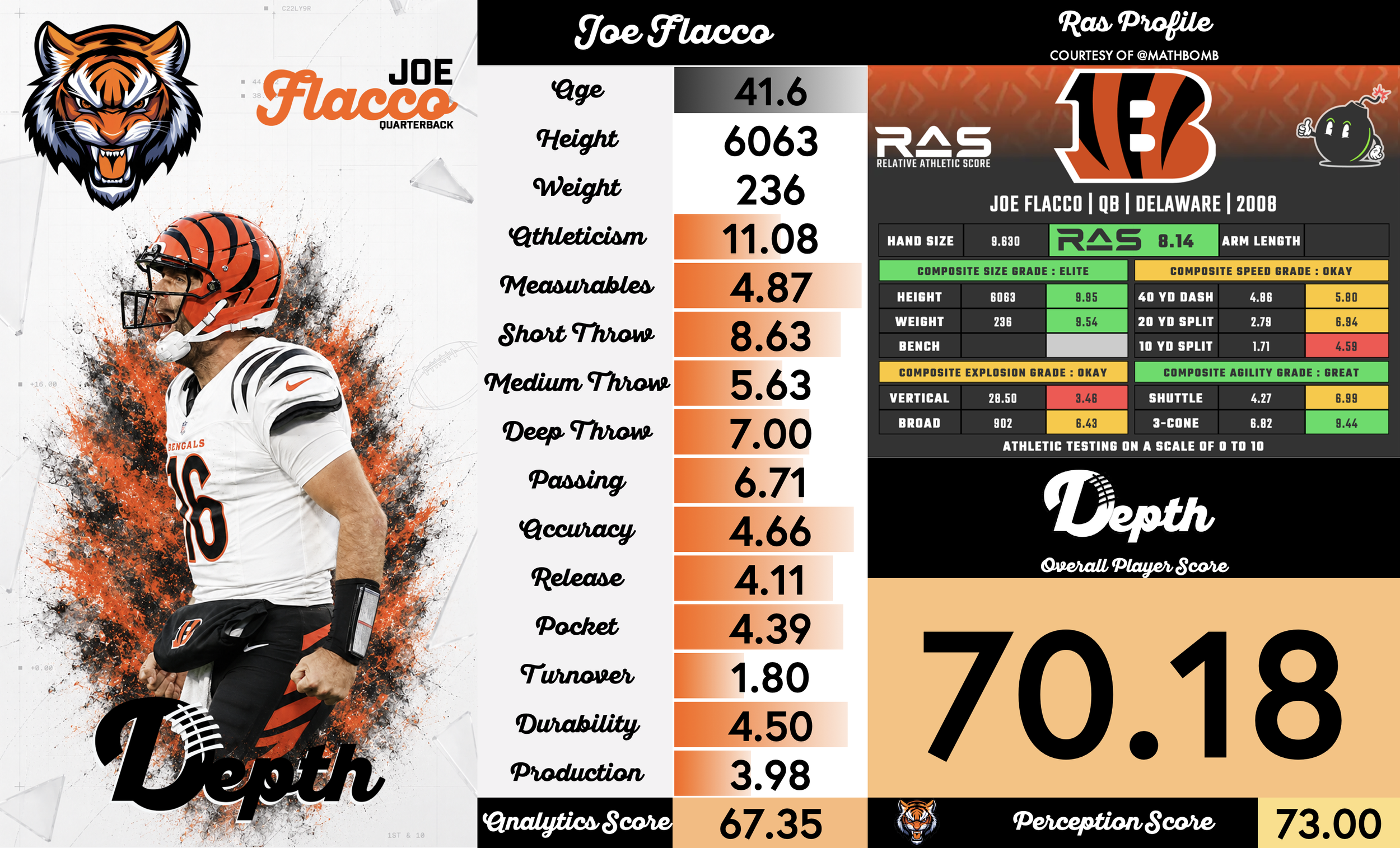 Joe Flacco Player Profile
