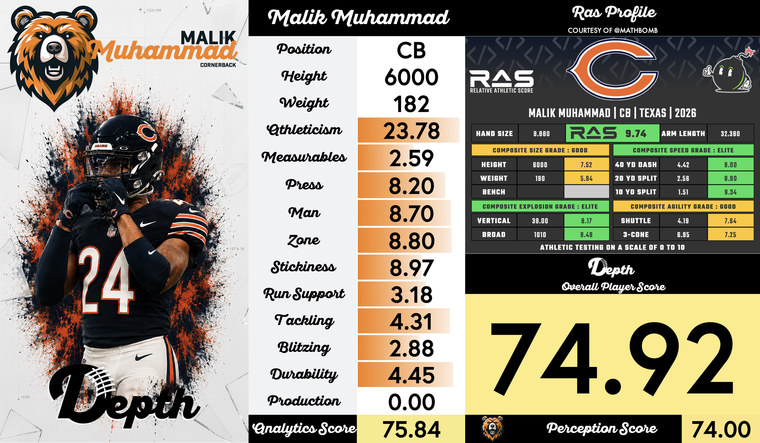 Malik Muhammad Player Profile