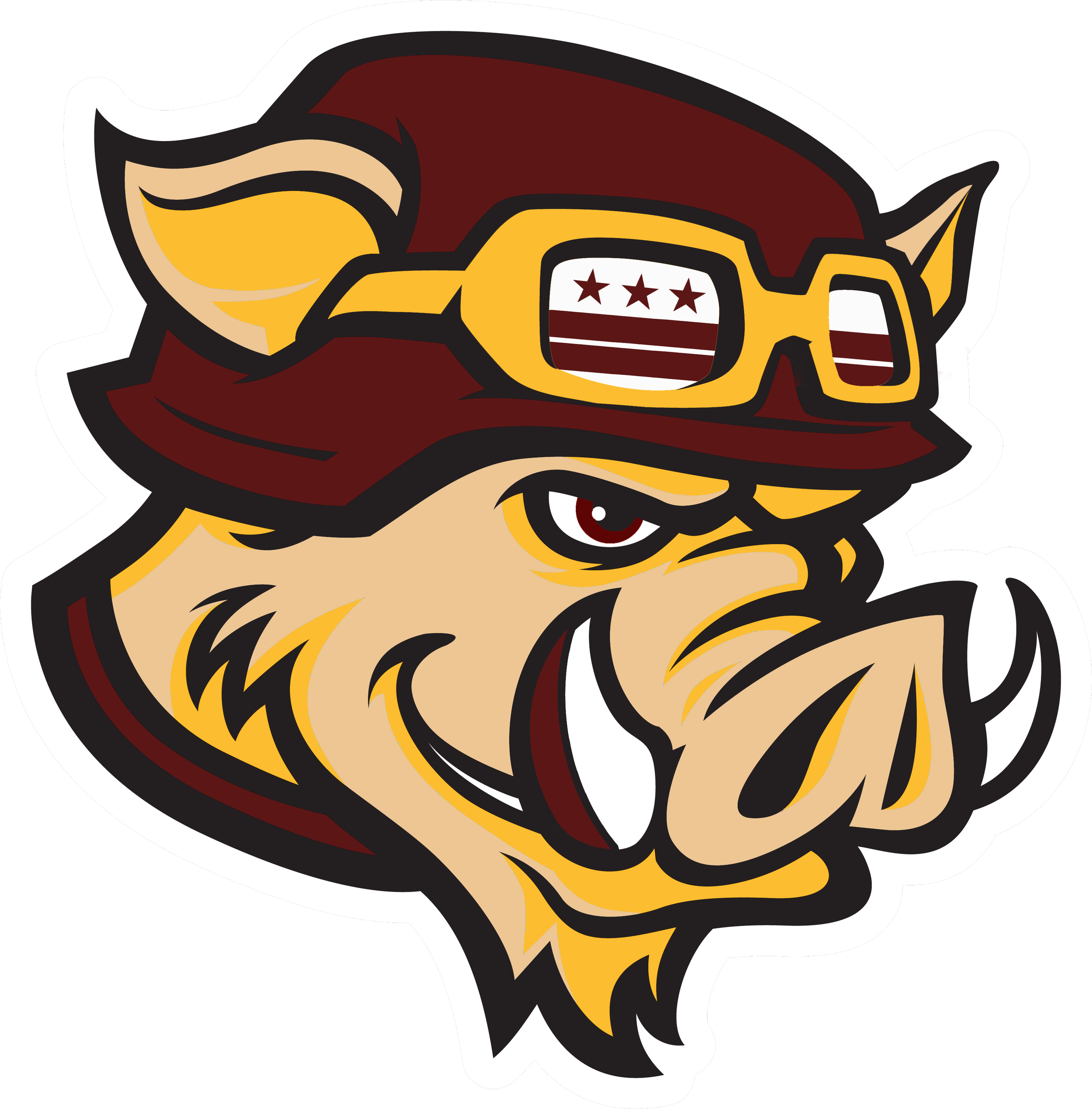 Washington Commanders Alternate Logo