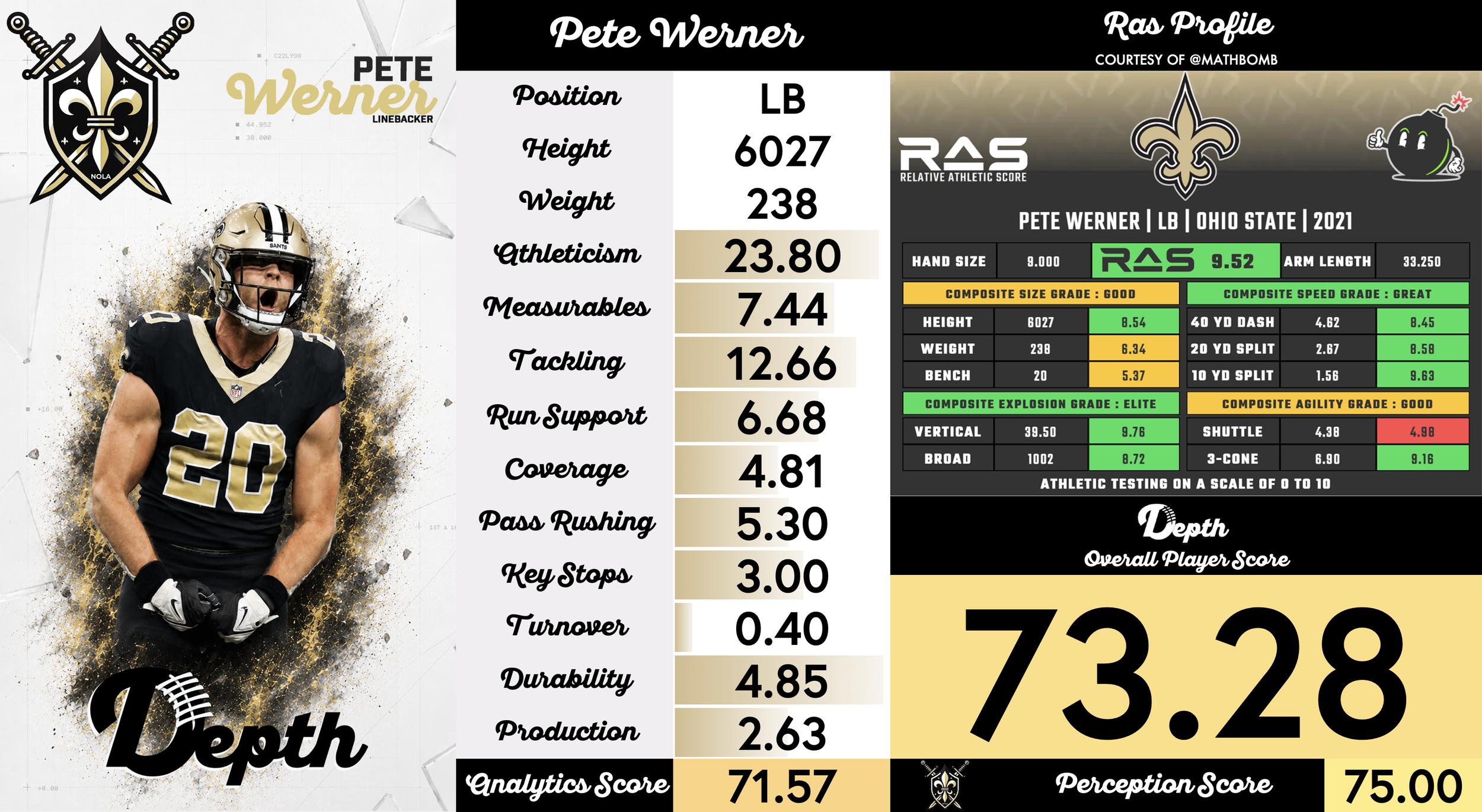 Pete Werner Player Profile