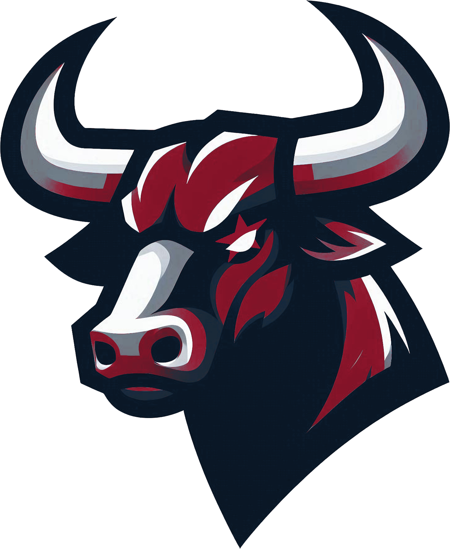 Houston Texans Alternate Logo
