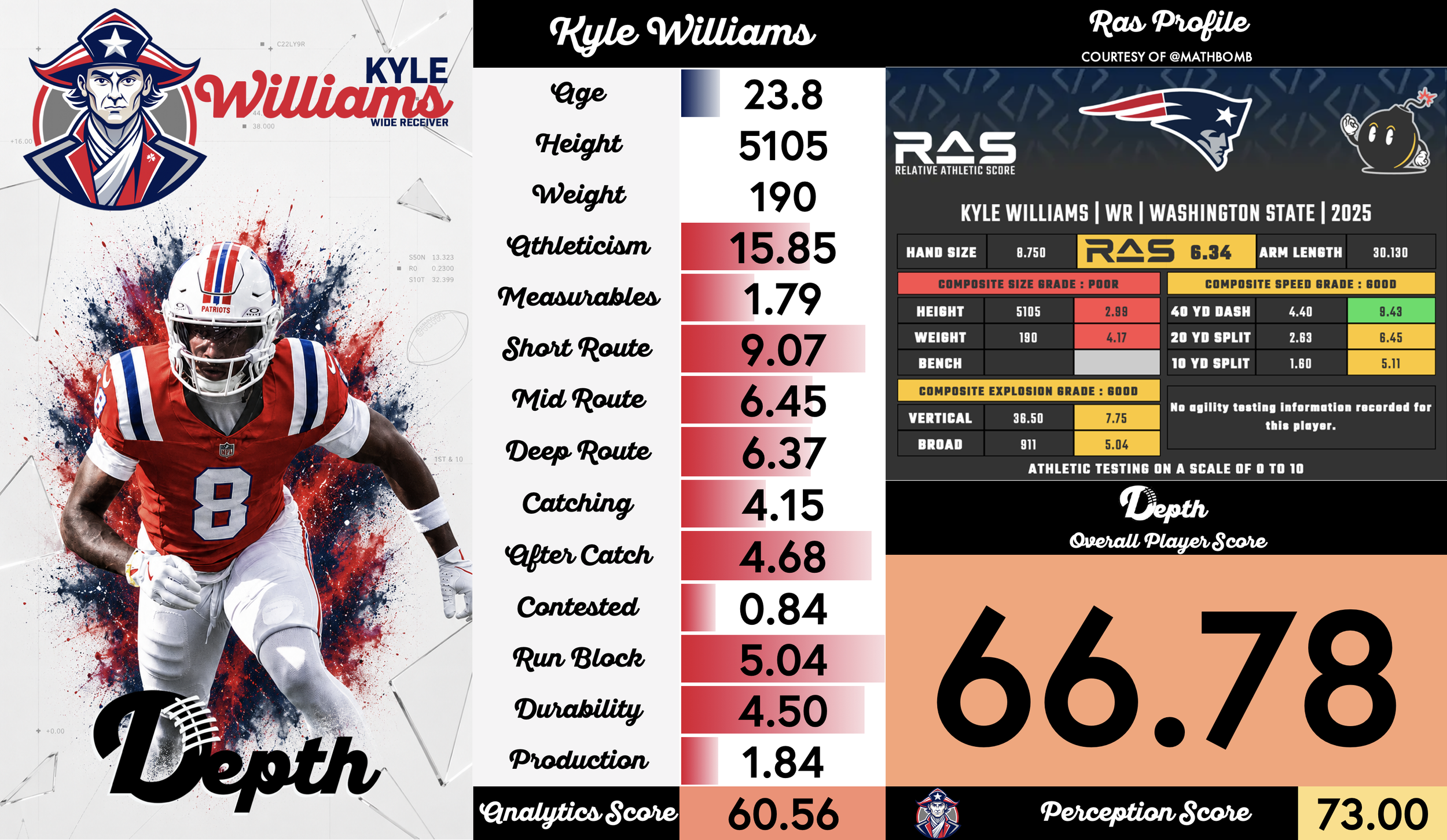 Kyle Williams Player Profile