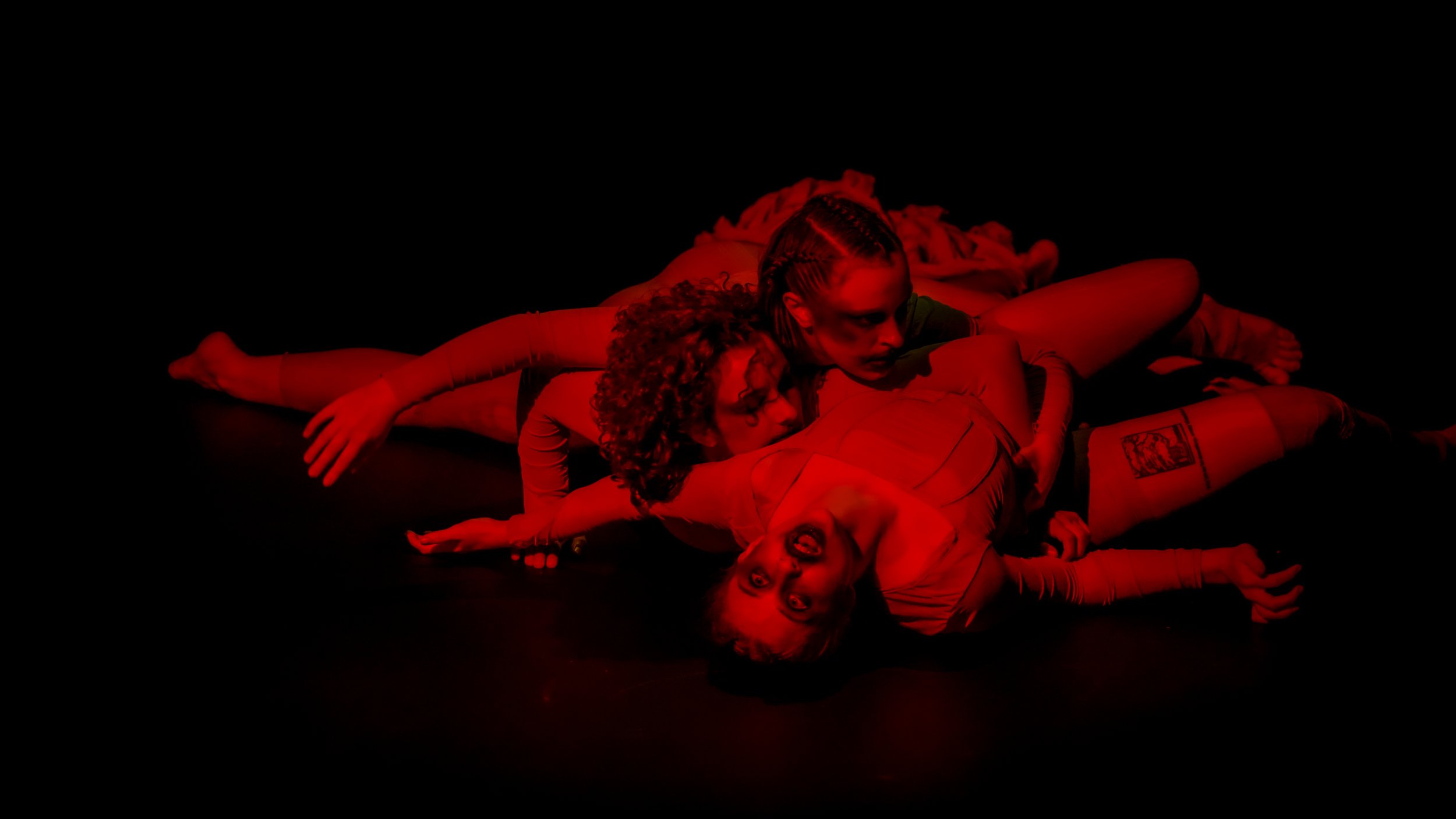 MATADORA V1 - Photography by Diego Bolivar