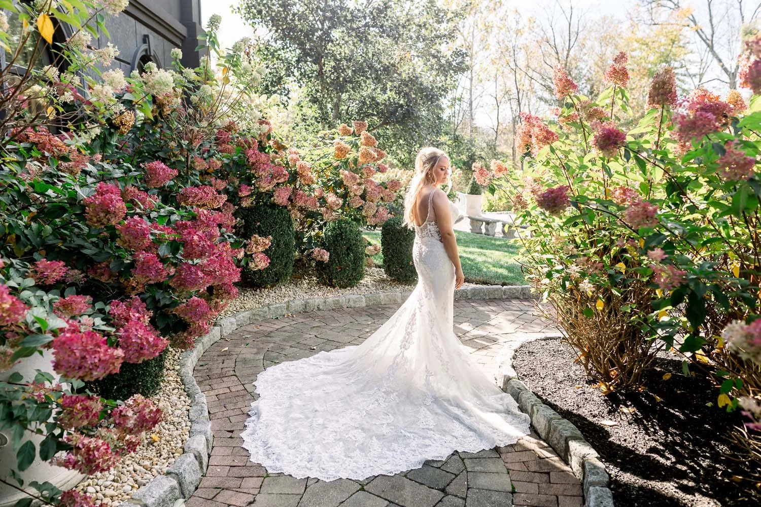Bride showcasing a long, dramatic lace wedding dress train on a paved stone garden path lined with pink hydrangeas at Villa Venezia.